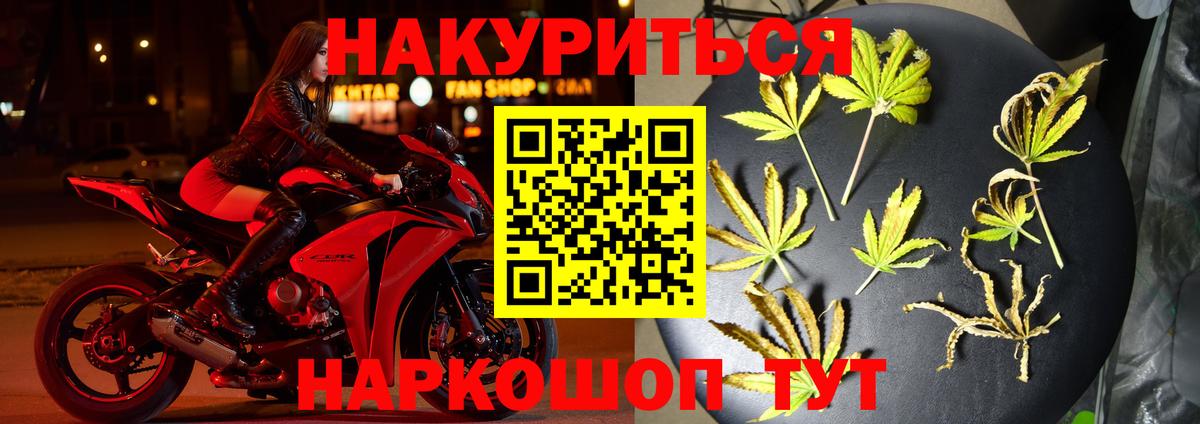 Конопля сатива Асбест